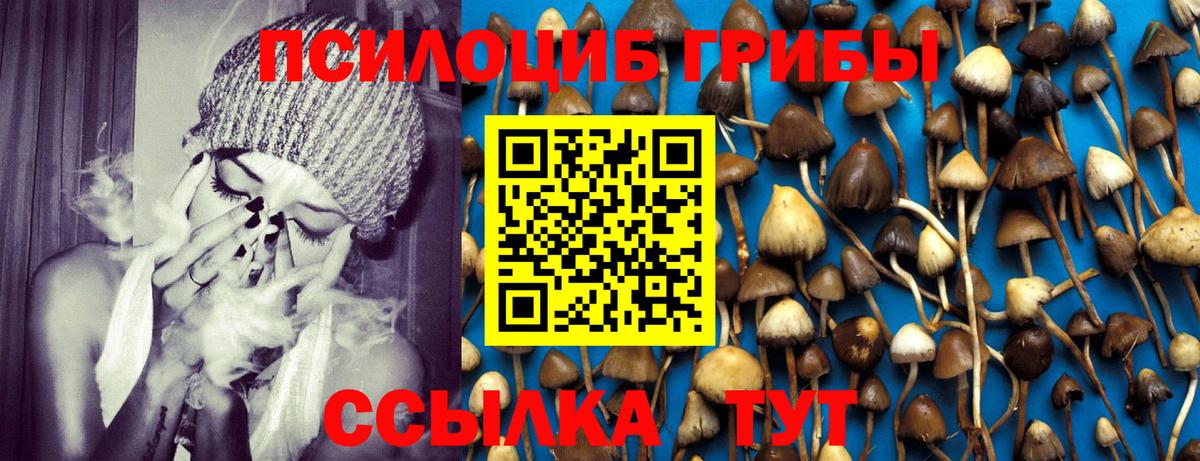 Псилоцибиновые грибы ЛСД Нижний Новгород